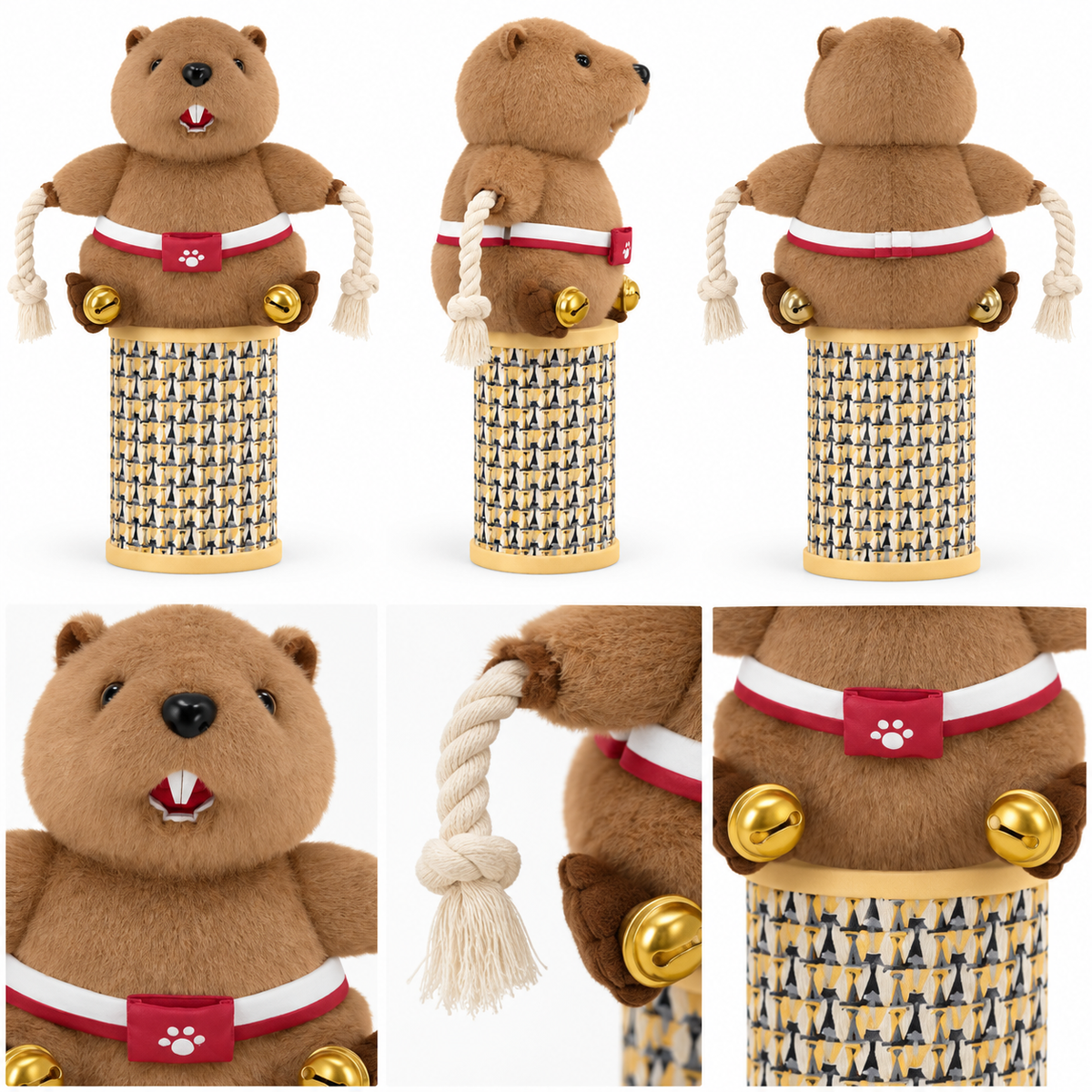 Castor Luchador PAWBUDDY desde varios ángulos