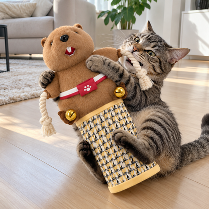 Gato jugando con el Castor Luchador PAWBUDDY