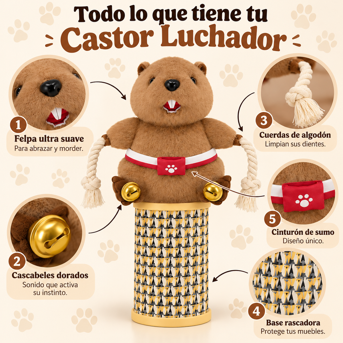 Todo lo que tiene el Castor Luchador