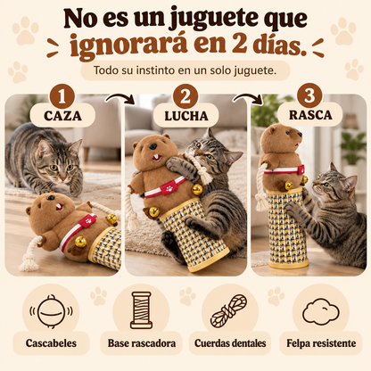 Caza, lucha y rasca